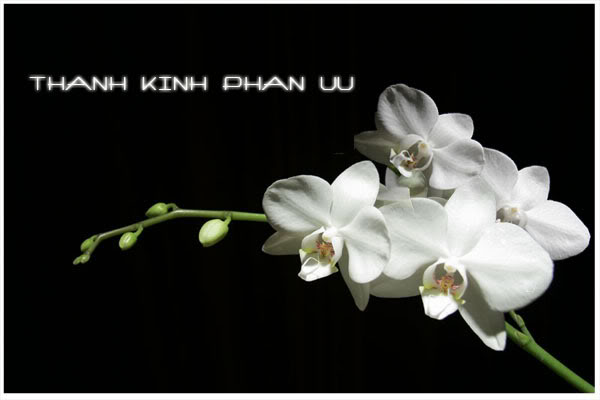 Nhấn vào ảnh để xem kích thước thật

Tên:  thanhkinhphanuu.jpg
Lần xem: 399
Kích thước:  23.9 KB