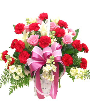 Nhấn vào ảnh để xem kích thước thật

Tên:  luxury-queen.jpg
Lần xem: 3107
Kích thước:  129.1 KB