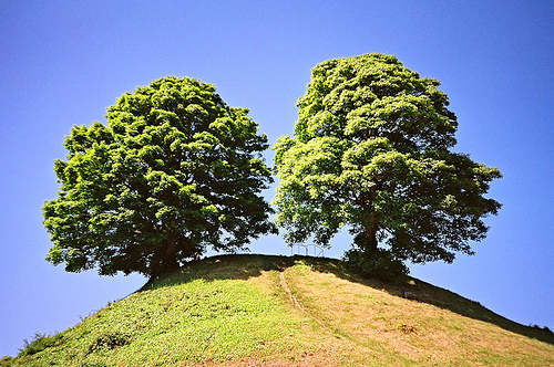 Tên :  3588071629_ef3814807c.jpg
Xem : 164
Kích cở :  178.2 KB