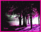 sactim_1989